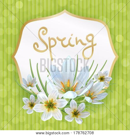 Beautiful spring background with flowers of Zephyranthes. Can be used to design greeting cards invitation announcement spring sale.