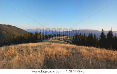 Wild Field Of Grass In The Carpatian Mountains At The Sunset. Scenic Landscape.