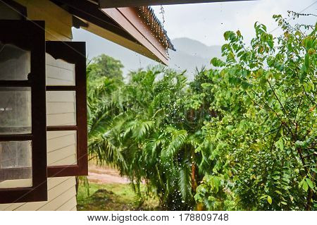 The Rain Drips Down The Roof
