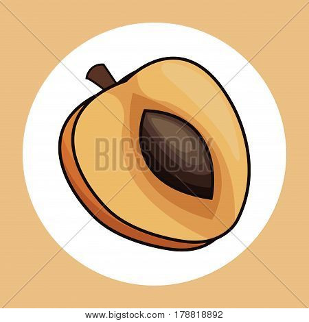 slice apricot healthy fresh image vector illustration eps 10