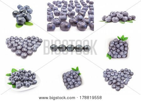 Collage of blueberry isolated on a white background cutout