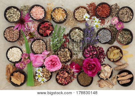 Herb and flower  selection used in herbal medicine to heal skin disorders such as psoriasis and eczema on hemp paper background.