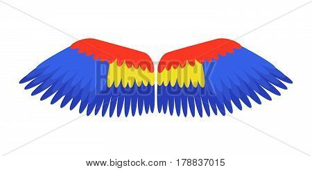 Wings blue isolated animal feather parrot bird freedom flight and natural life peace design flying element eagle winged side shapevector illustration. Beauty haven soft anatomy graphic.