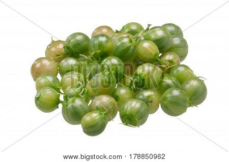 Fresh Coriander Fruits, Path