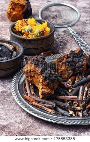 Healing Gathering Roots And Herb