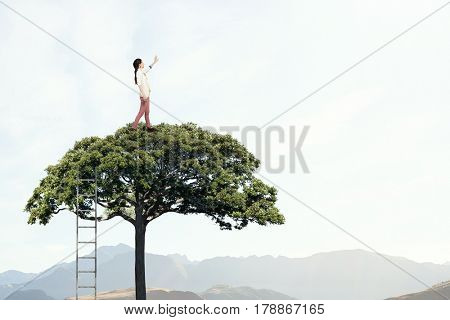 Forestation as ecologyy solution