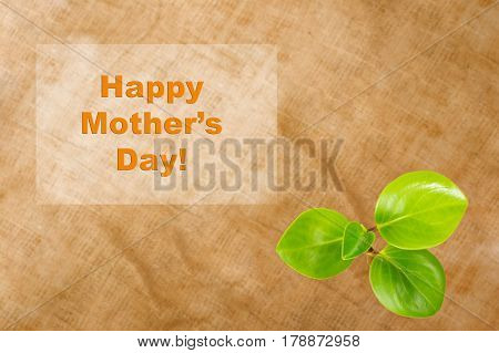 Happy Mother's day card with green leaves of Green sprout on sackcloth