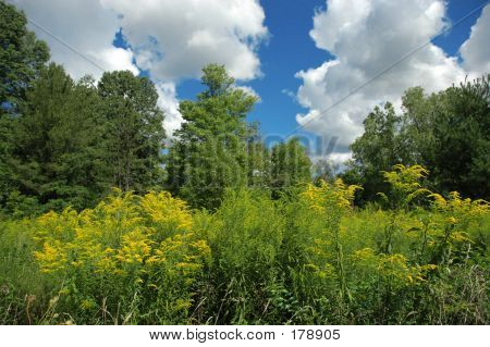 Feld und Himmel