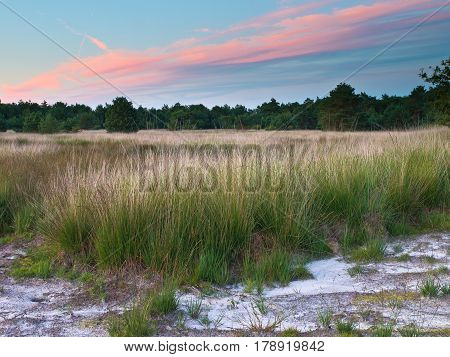 Sunset Over Netherlands Nature Reserve