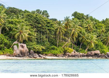 Anse Royale Mahe Island Seychelles - December 152015: Seychelles paradise a beach of Mahe with white sand turquoise sea and coconut trees. Some people enjoying the Beach Mahe Island Seychelles.