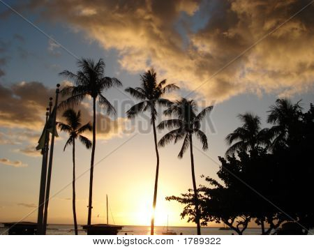 Tropical Dusk - Maui