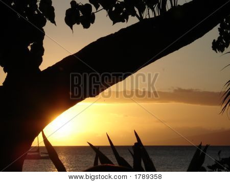 Maui Sunset