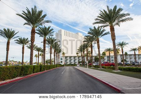 straight road with rows of palm trees right and left with the building in background las vegas USA