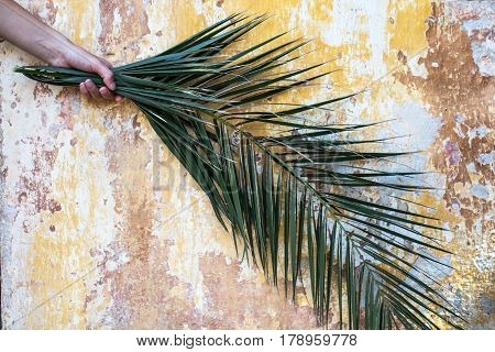 Palm branch in woman hand and beautiful old vintage cracked orange paint wall as a palm sunday background and exotic travel destination concept