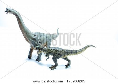Dinosaur Tyrannosaurus Rex Ready To Attack A Green Brachiosaurus Altithorax - White Background