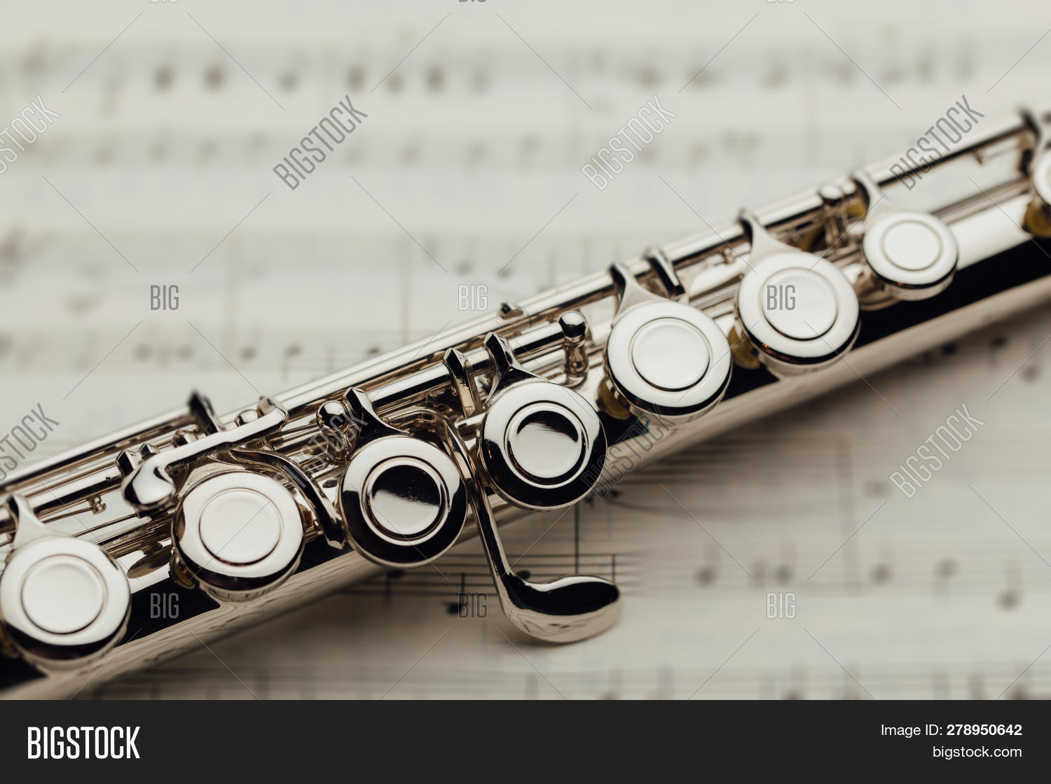 Transverse Flute On Image & Photo (Free Trial) Bigstock