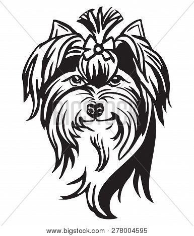 Decorative Portrait Of Dog Yorkshire Terrier, Vector Isolated Illustration In Black Color On White B