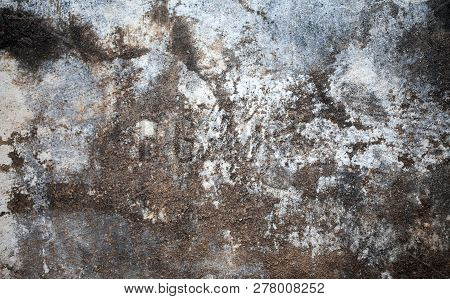 Historical Antique Age Epigraph On Marble Tablet Stone
