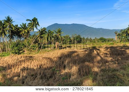 A Sunny Morning In A Village Lost Due To The Earthquake And Liquefaction Of Petobo Indonesia Central