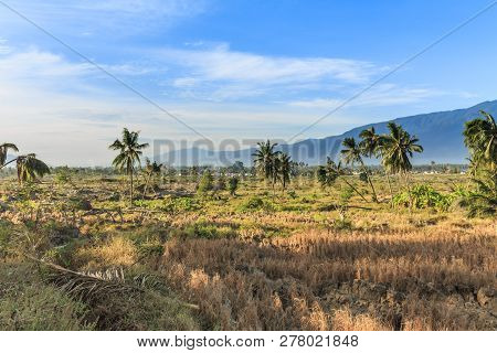 A Sunny Morning In A Village Lost Due To The Earthquake And Liquefaction Of Petobo Indonesia Central