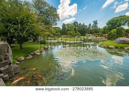 Buenos Aires, Argentina - January 08 2019: Japanese garden in Buenos Aires, Argentina