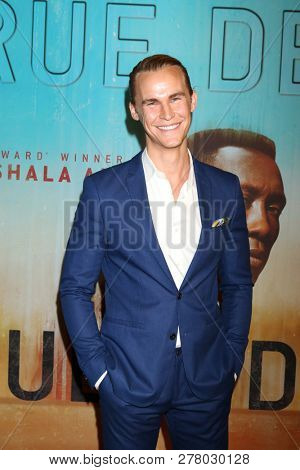 LOS ANGELES - JAN 10:  Rhys Wakefield at the 