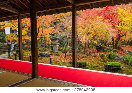 Beautiful View Of Colorful Maple Leaf In Japanese Garden In Autumn Season At Enkoji Temple In Kyoto,