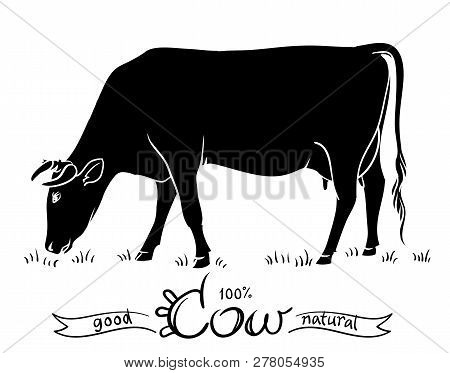 Cow Isolated. Black And White Silhouettes Of A Cow