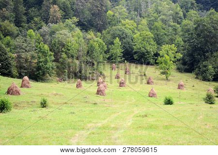 Rural Landscape With Haystacks In Ramnicu Valcea.