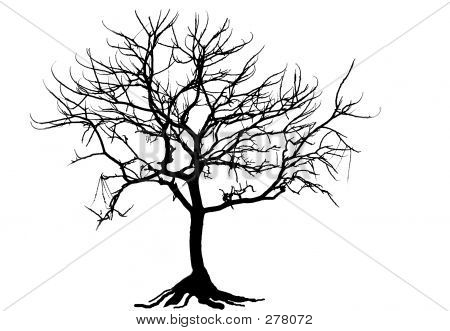 Árbol de blanco y negro