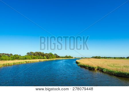 Landscape With Trees And Blue Sky In Prerow, Germany.