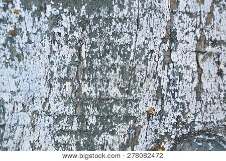 Aged Wooden Cracked Surface With White Shubby Elements