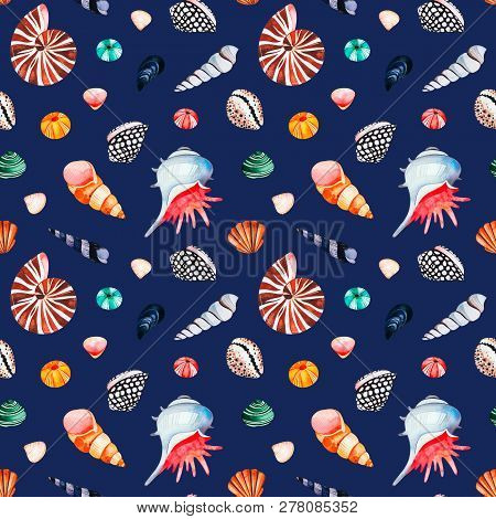 Underwater Creatures.watercolor Seamless Pattern With Multicolored Seashells.dark Background.perfect