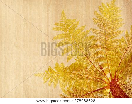 Cyathea on antique cracked paper texture