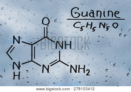 Structural Model Of Guanine