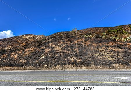 Malibu After Woolsey Fire Burnt Landscape In California