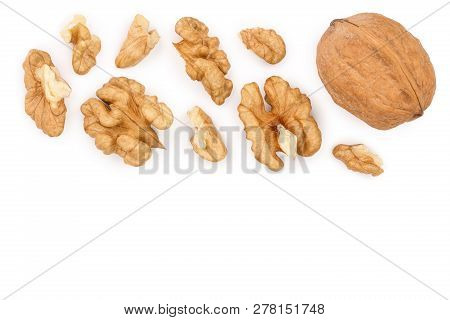 Peelled Walnuts Isolated On White Background With Copy Space For Your Text. Top View. Flat Lay