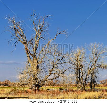 Views From The Cradleboard Trail Walking Path On The Carolyn Holmberg Preserve In Broomfield Colorad