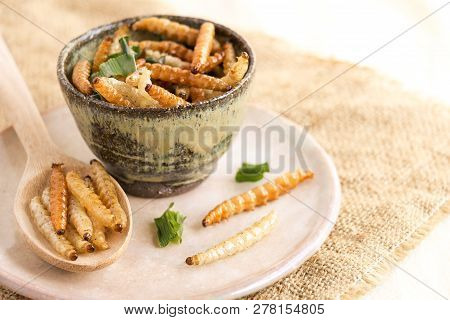 Food Insects: Bamboo Worm (bamboo Caterpillar) Insect Fried Crispy For Eating As Food Items On Dish 