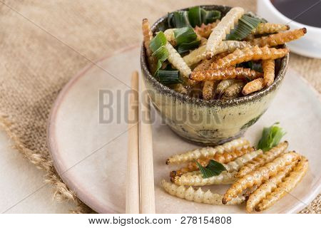 Food Insects: Bamboo Worm (bamboo Caterpillar) Insect Fried Crispy For Eating As Food Items On Dish 