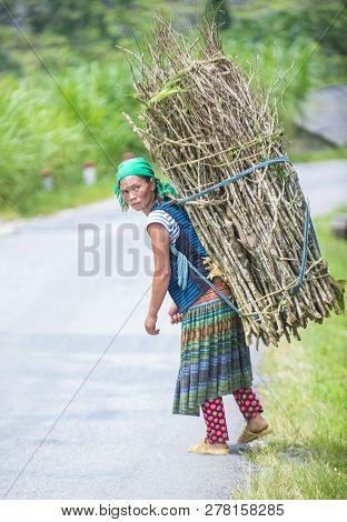 Ha Giang , Vietnam - Sep 15 : Vietnamese Farmer In A Countrside Near Ha Giang Vietnam On September 1