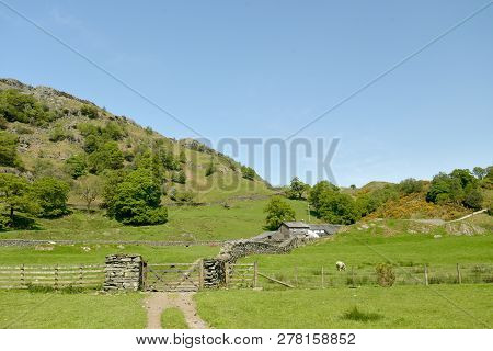 Fields And Farmland Near Tilberthwaite, Coniston, In The English Lake District