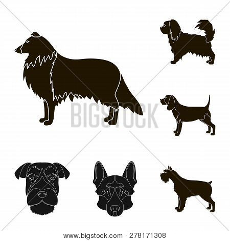 Vector Design Of Cute And Puppy Icon. Set Of Cute And Animal Vector Icon For Stock.