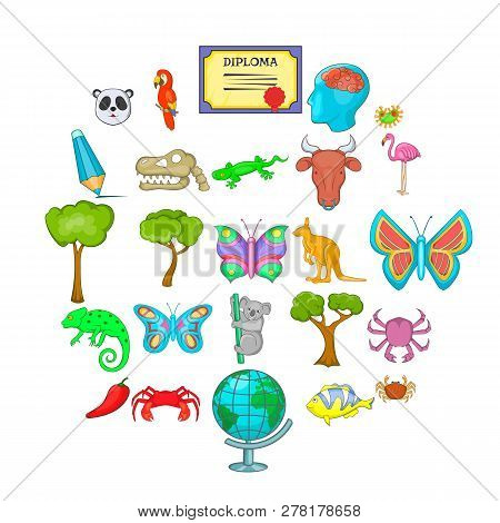 Assimilation Icons Set. Cartoon Set Of 25 Assimilation Icons For Web Isolated On White Background