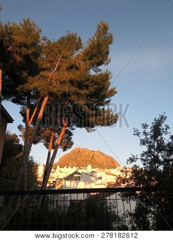 El-hacho Viewd Trough Tall Fir Trees On Sunny December Morning