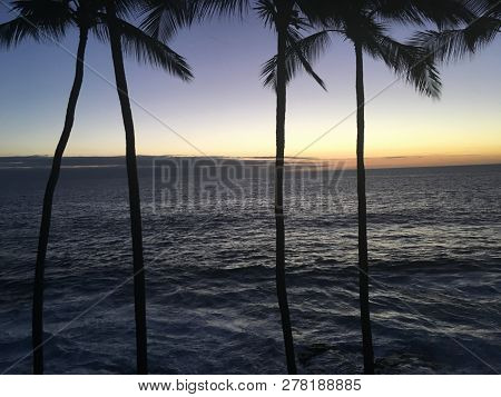 Big Island Sunset With Palm Trees In Hawaii