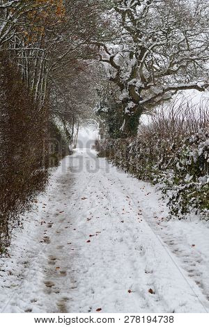Snow Covered Road