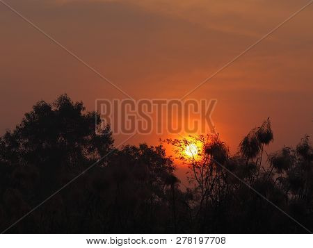 Sunrise Sun Up The Sun Is Going Up Behind The Bush Black Treee Background
