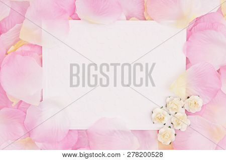 Blank Love Greeting Card With Small Yellow Rose Buds On Pink Rose Flower Petals That You Can Use As 
