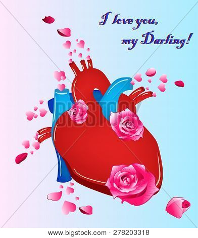 Anatomical Human Heart With Flowers. Vector Illustration.